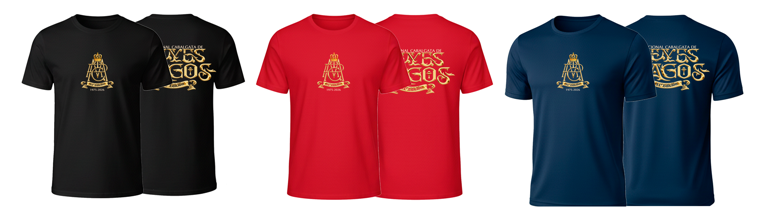 Playera Adulto Caballero